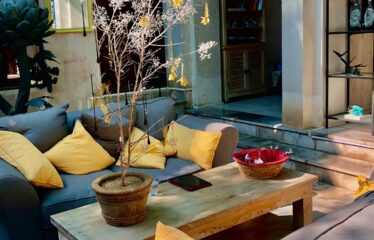 Οικόπεδο 455